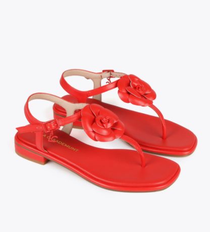 sandalia-flor-pulsera-Rojo-mujer-verano-boutique-lujo